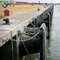 Il cono Marine Dock Fender BV CCS di cena della difesa della portata di lunga vita ha approvato